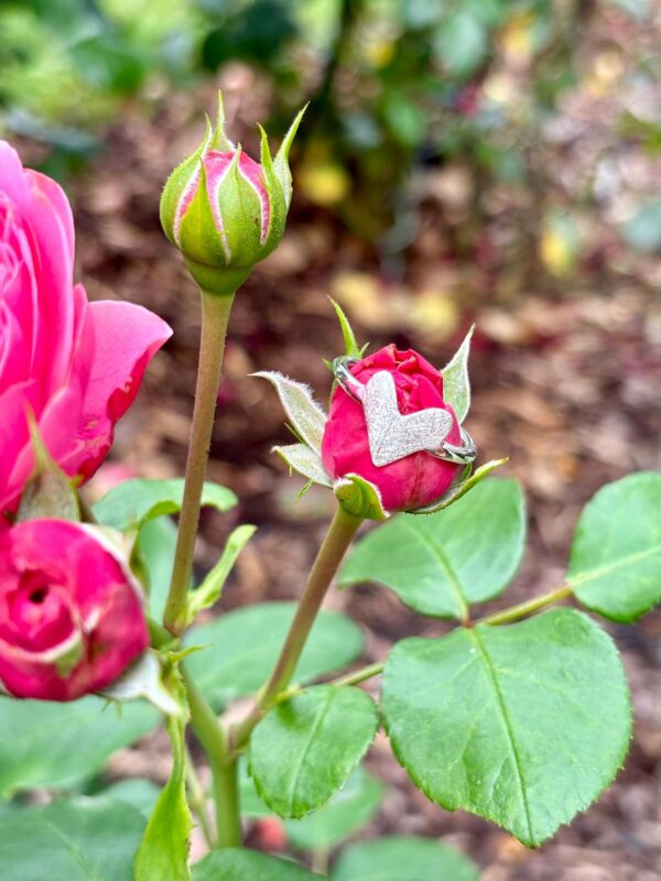 Ring silber -  eismatt – Bild 3