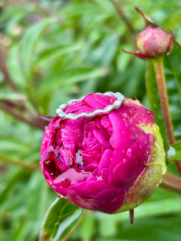 Ring silber - Welle – Bild 5