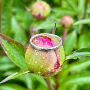 Ring silber - Hammerschlag