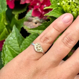 Ring silber - gelbgold Größe 56